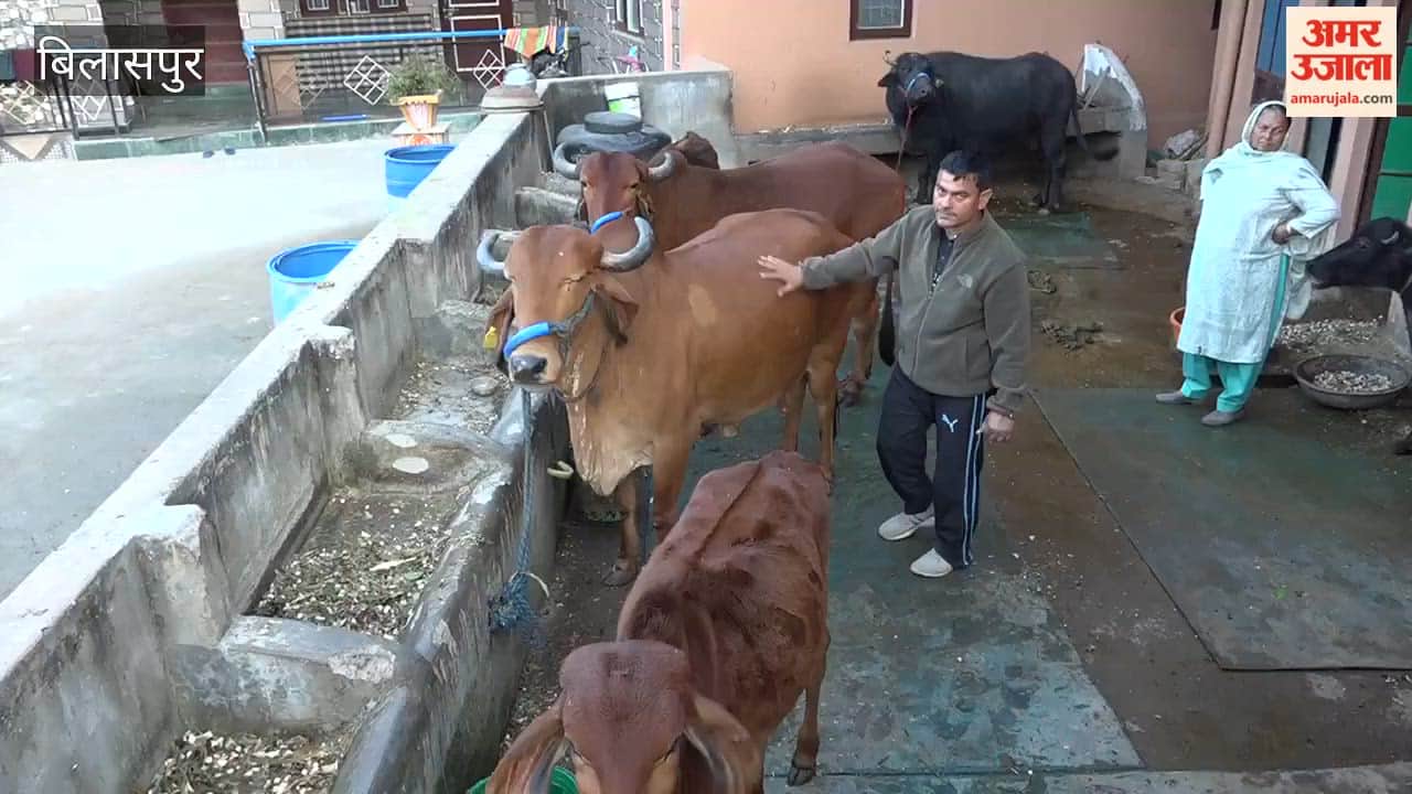 Bilaspur Natural Farming Transforms the Life of Ravi Dutt, a Farmer from Dhamtal; Rising Costs and Declining Soil Fertility Shift His Perspective