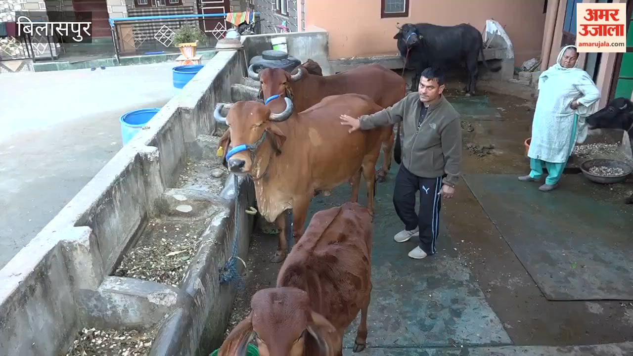 Bilaspur Natural Farming Transforms the Life of Ravi Dutt, a Farmer from Dhamtal; Rising Costs and Declining Soil Fertility Shift His Perspective