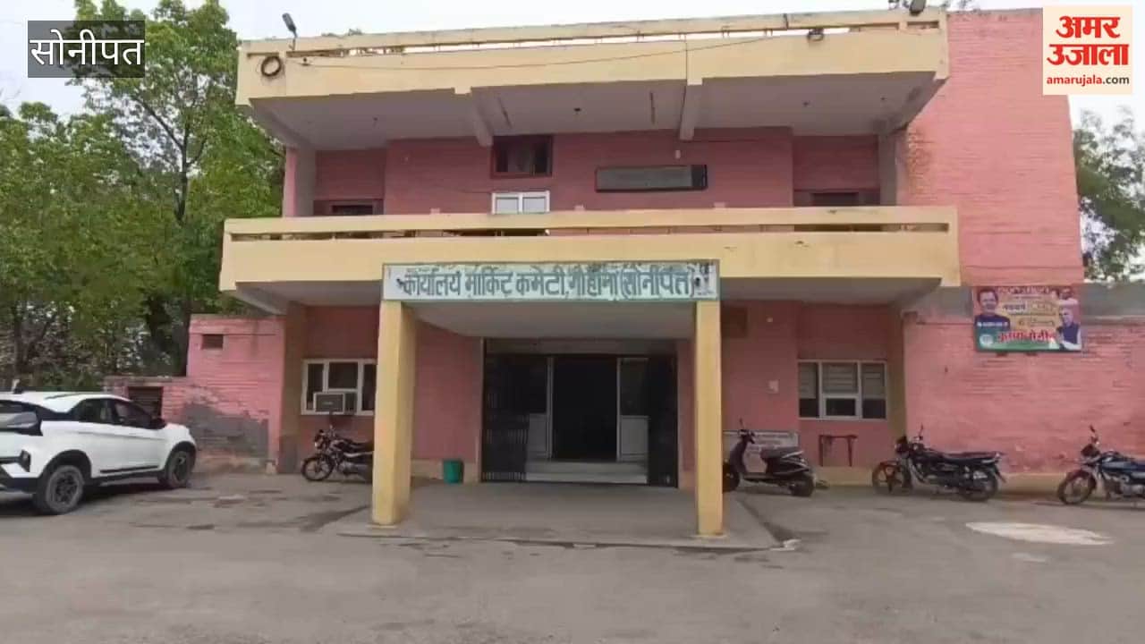 Arrival of wheat begins in Gohana Mandi