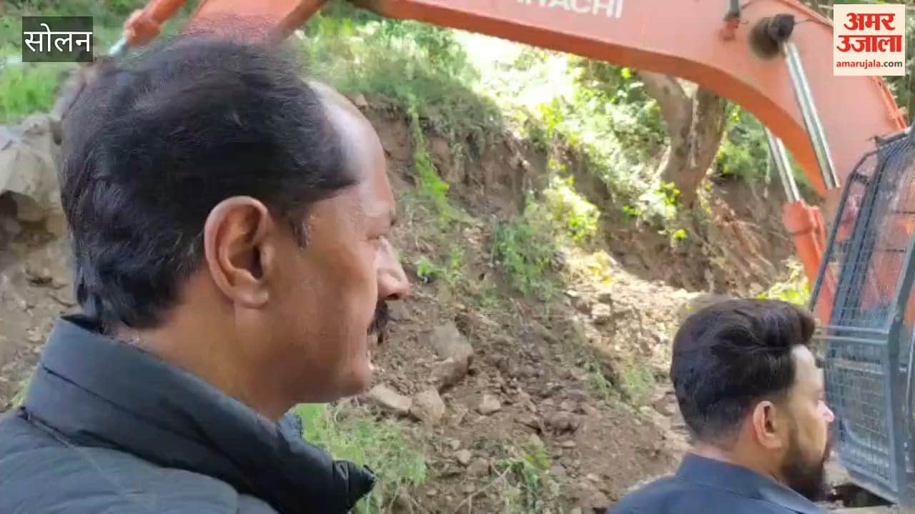 Solan Anti-encroachment drive stalled due to a tree; power lines at risk