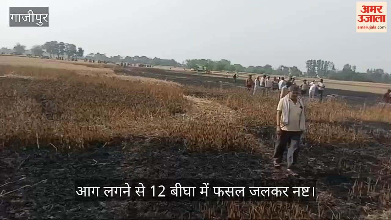 Fire breaks out due to unknown causes; crops across 12 bighas destroyed.