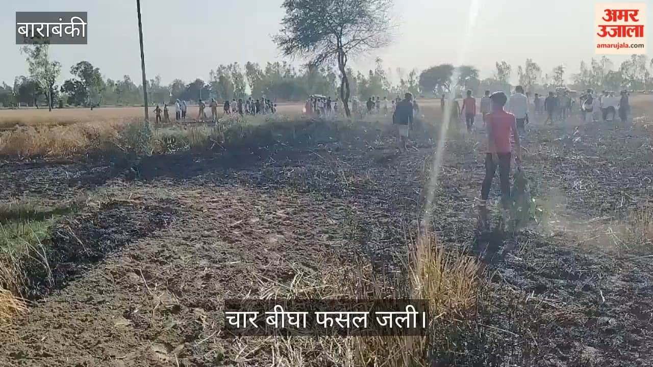 VIDEO: अज्ञात कारणों से गेहूं के खेत में लगी आग, चार बीघा फसल जली