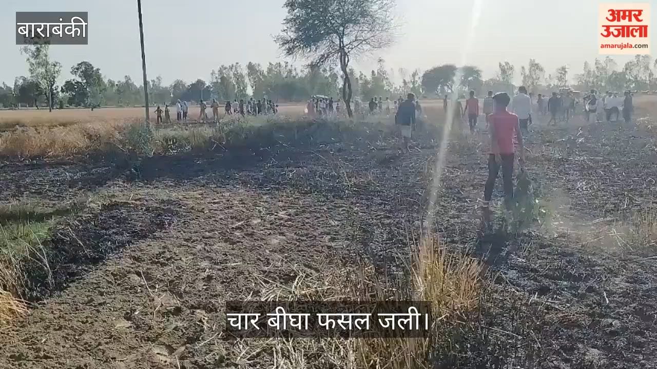 VIDEO: अज्ञात कारणों से गेहूं के खेत में लगी आग, चार बीघा फसल जली