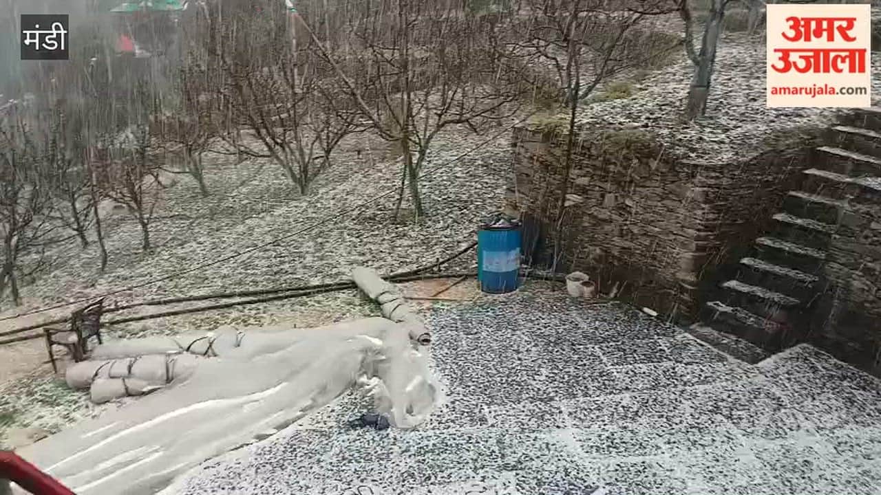 Mandi Nature Fury Unleashed in Seraj—Hailstorm Blankets the Landscape in White, Crushing the Hopes of Orchardists