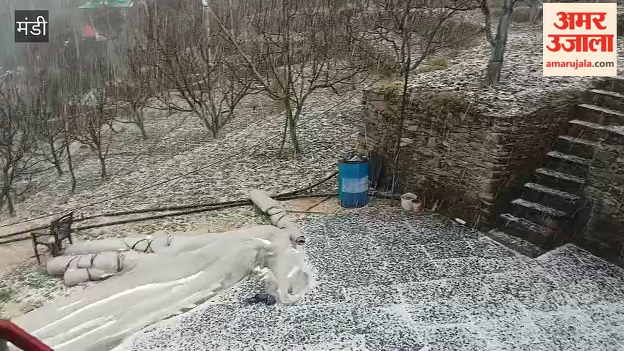Mandi Nature Fury Unleashed in Seraj—Hailstorm Blankets the Landscape in White, Crushing the Hopes of Orchardists