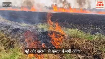 Sarangarh massive fire engulfed 14 acres of crops belonging to five farmers