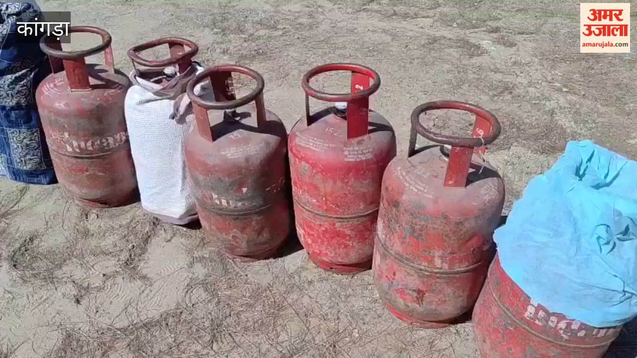 Kangra Crowds Swarm Outside Gas Depot in Cheelgari for Cylinders People Forced to Wait