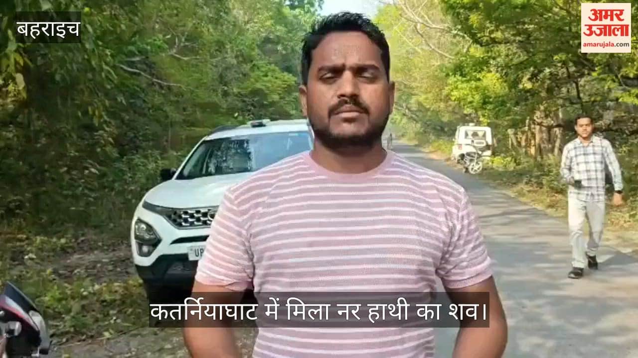 बहराइच के कतर्नियाघाट में मिला 10 वर्षीय नर हाथी का शव, जांच जारी