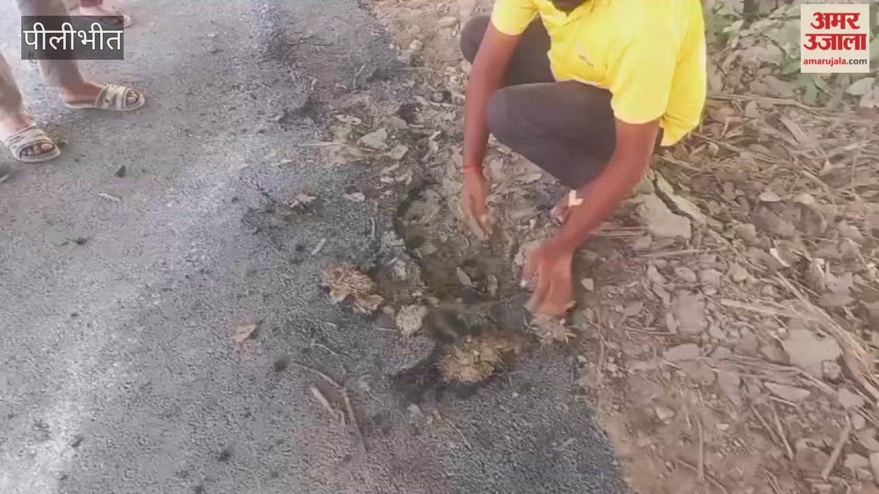 Villagers in Pilibhit Uproot 50 Meters of Road