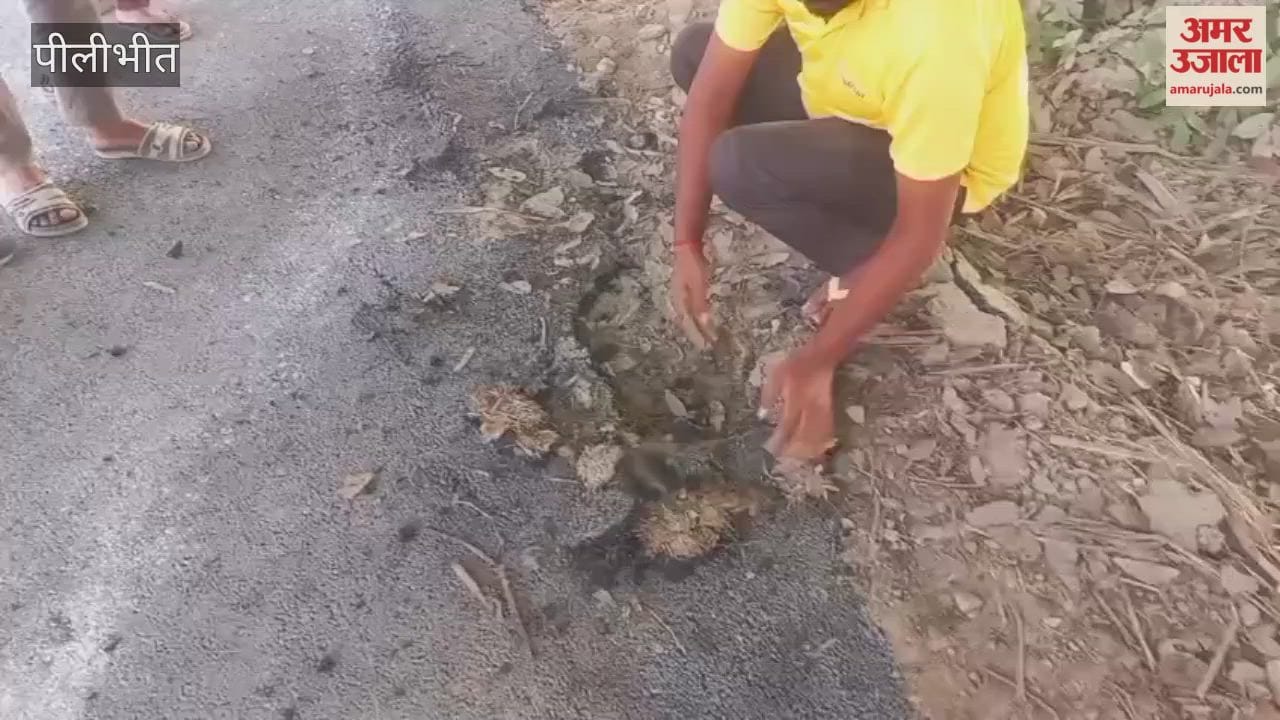 Villagers in Pilibhit Uproot 50 Meters of Road