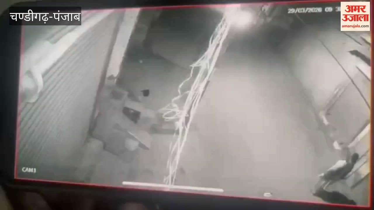 Mother and Son Attacked in Pathankot