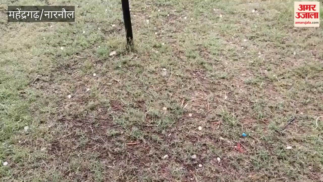 Rain accompanied by hailstorm in Mahendragarh