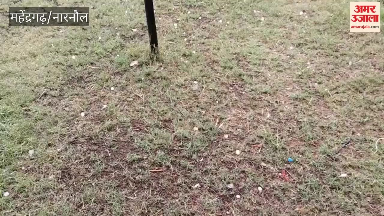 Rain accompanied by hailstorm in Mahendragarh