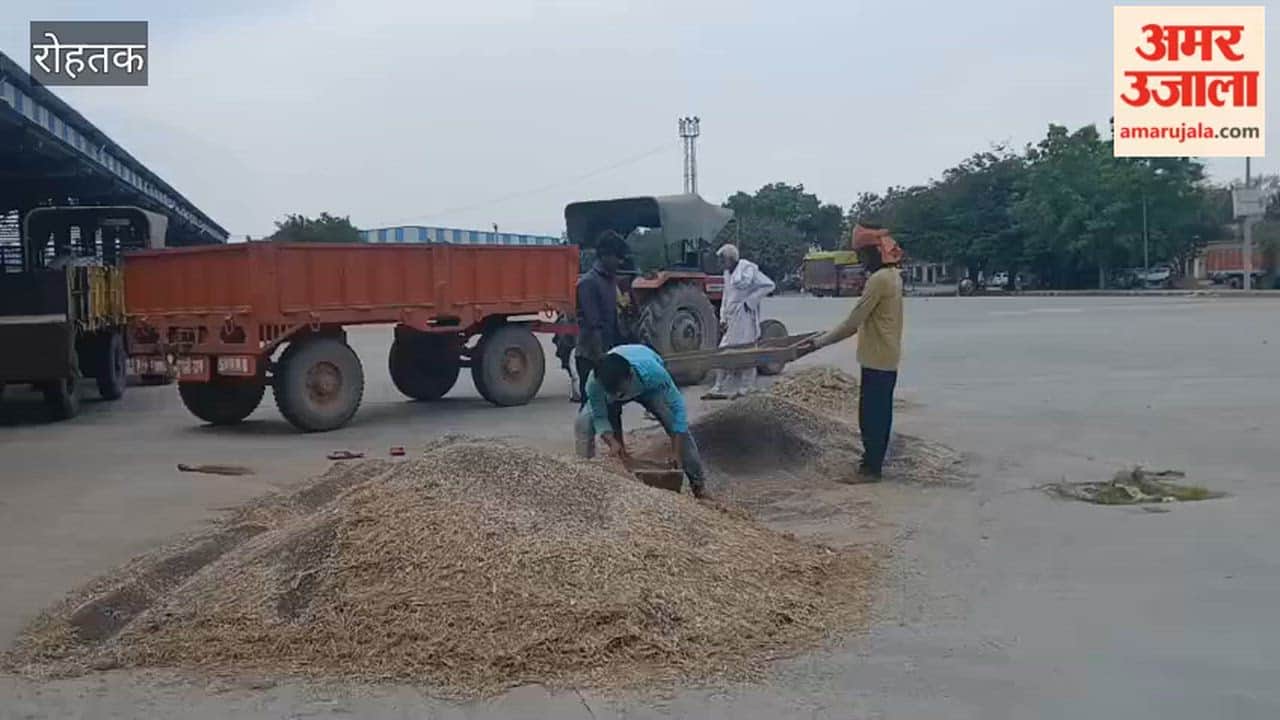 Time taken to cut gate pass for purchase of mustard
