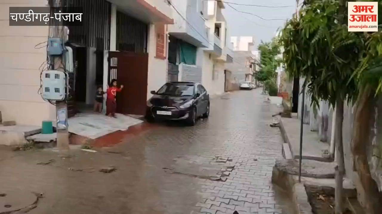 Rain and Hailstorm in Several Areas of Ferozepur