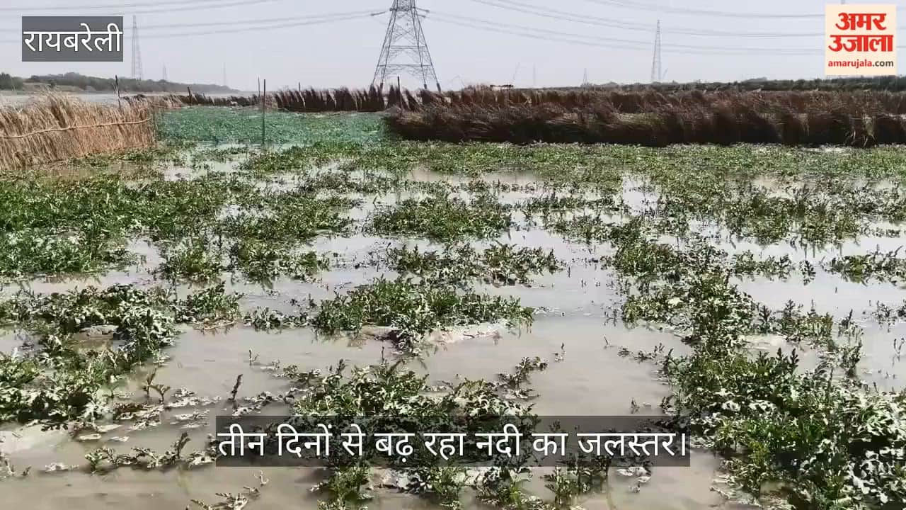 VIDEO: गंगा का लगातार बढ़ रहा जलस्तर, 100 बीघा फसल जलमग्न, किसानों में दहशत
