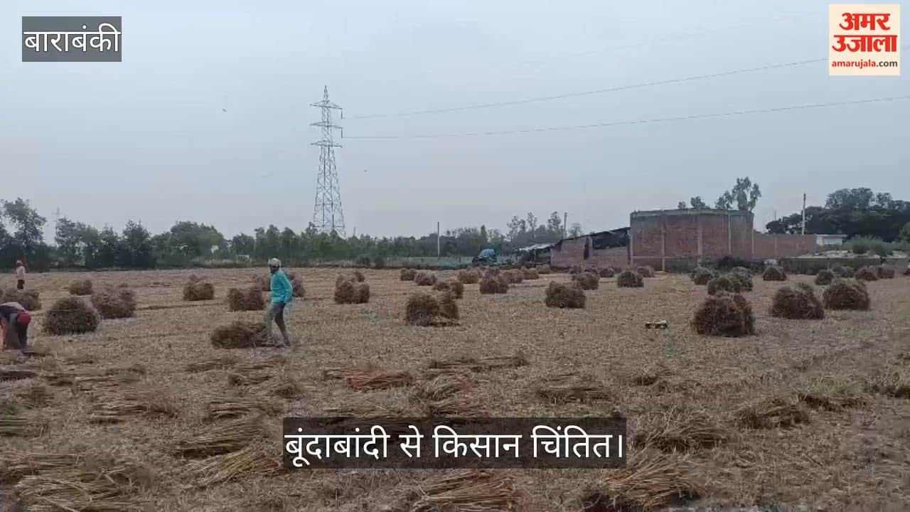 बाराबंकी में बदला मौसम, बूंदाबांदी से किसान चिंतित, संकट में गेहूं की फसल