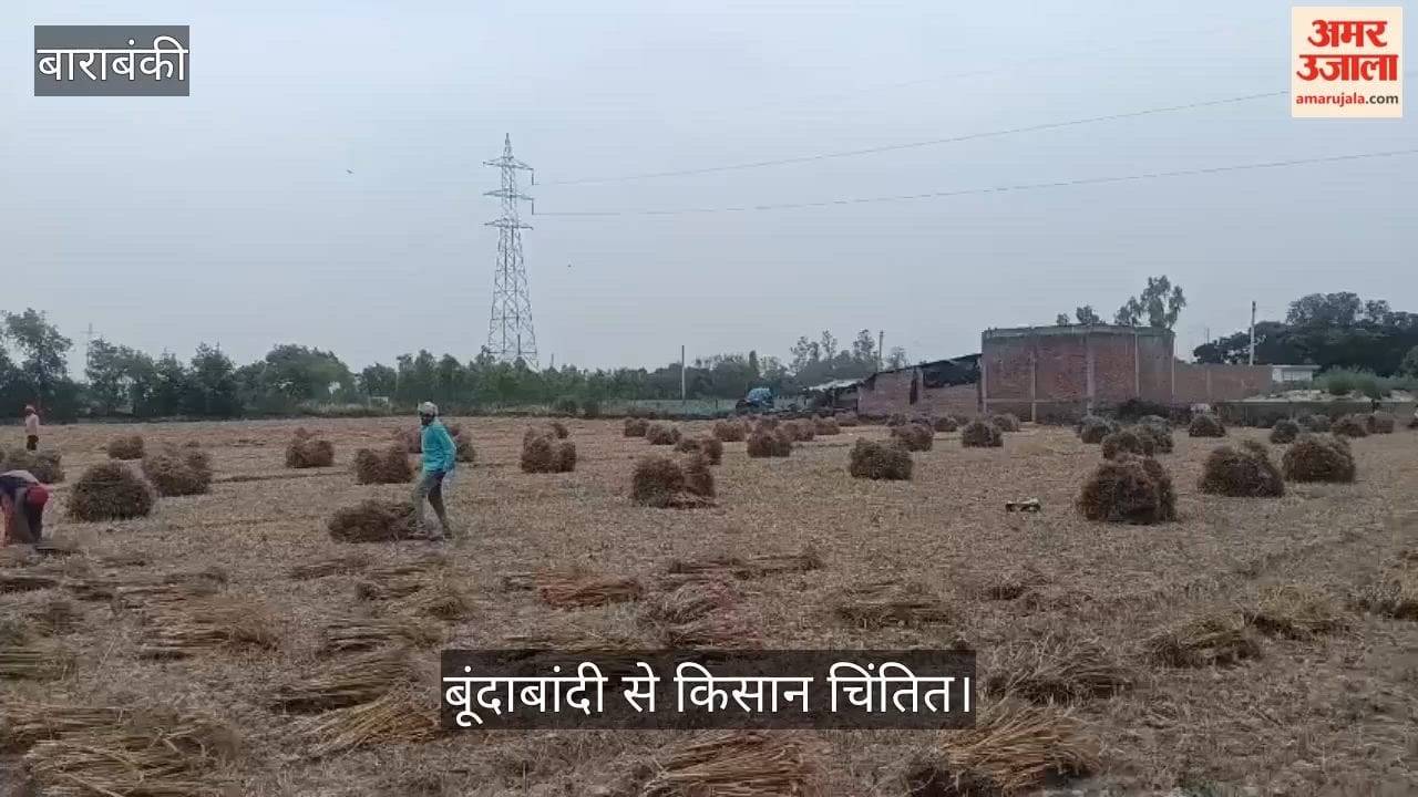 बाराबंकी में बदला मौसम, बूंदाबांदी से किसान चिंतित, संकट में गेहूं की फसल
