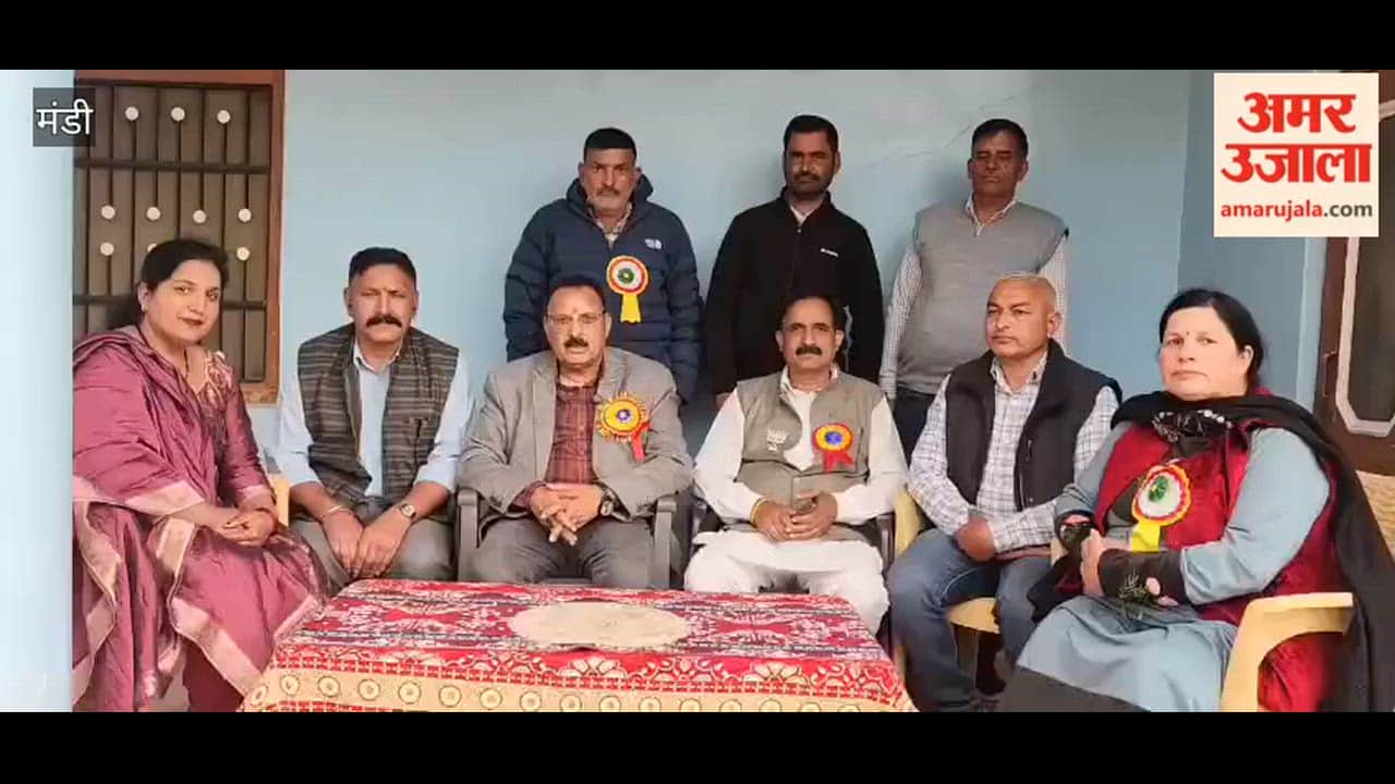 Mandi Message of Drug De-addiction Delivered from the Cricket Field; Enthusiasm Evident Among the Youth