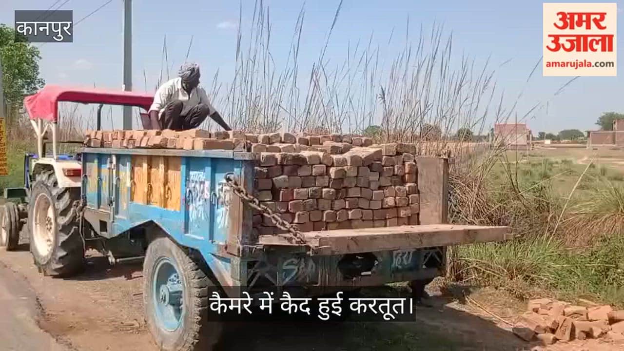 Kanpur Forest Department Property Pilfered in Mandhana Alleged Staffers Smash Tree Guards and Cart Away Bricks