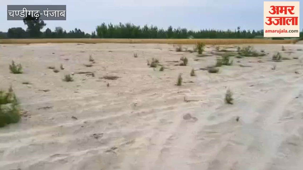 tapu kalu wala adjacent to Hussainiwala border turned into desert