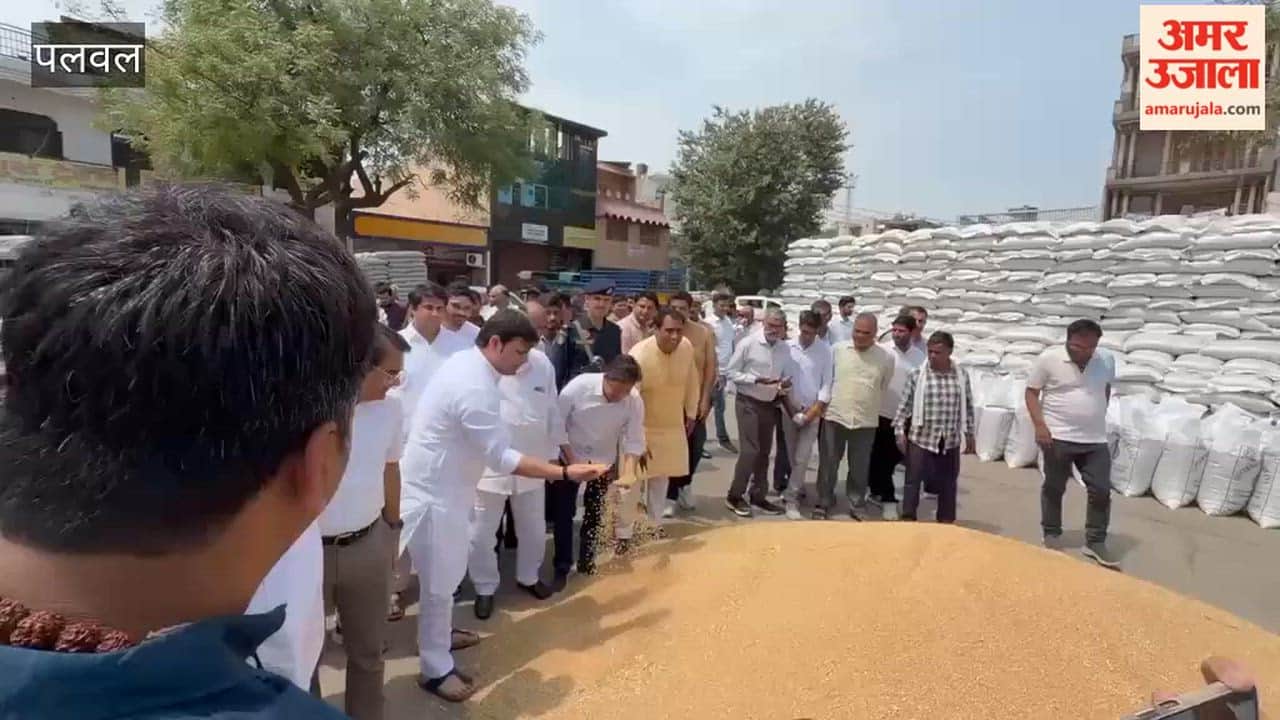 Minister Gaurav Gautam inspected wheat procurement in Palwal