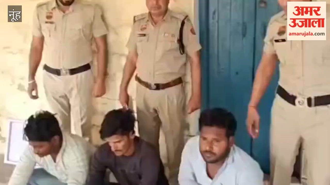 Three accused arrested in case of mustard theft from grain market in Nuh