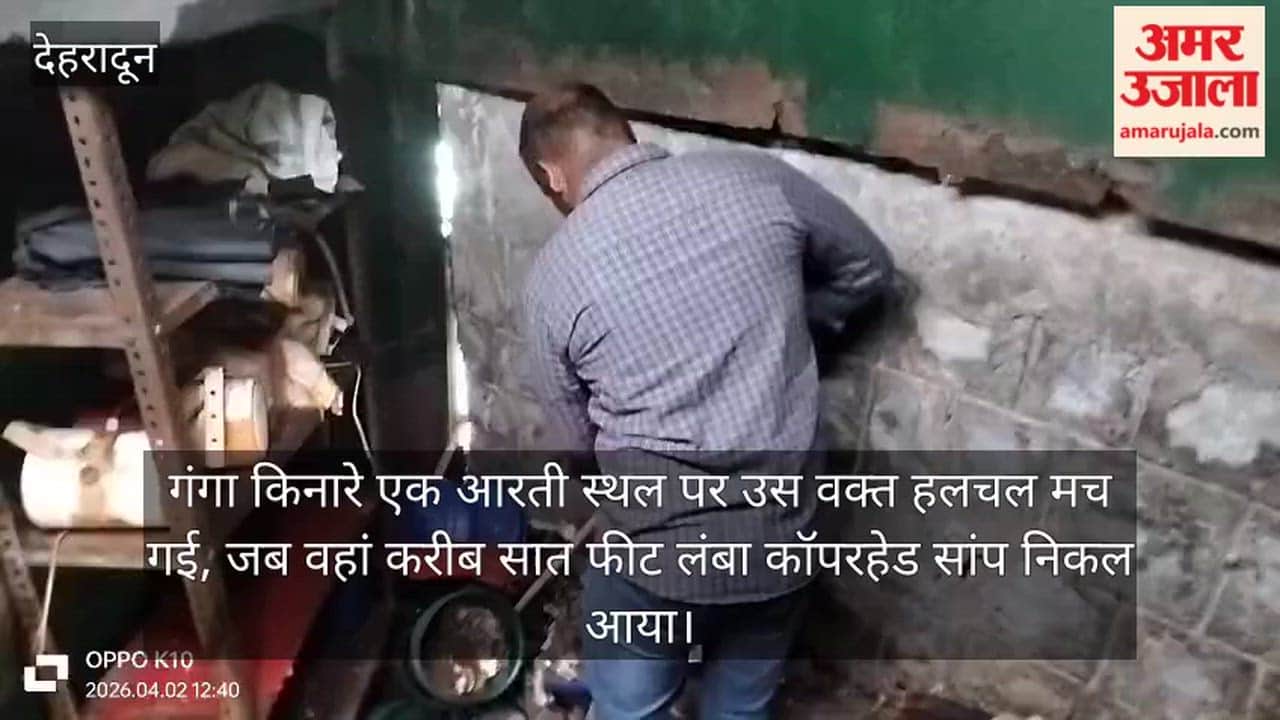 Seven Foot Long Copperhead Snake Emerges; Panic at Aarti Site Forest Department Team Conducts Rescue