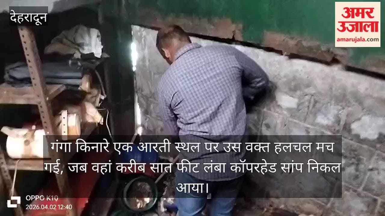 Seven Foot Long Copperhead Snake Emerges; Panic at Aarti Site Forest Department Team Conducts Rescue