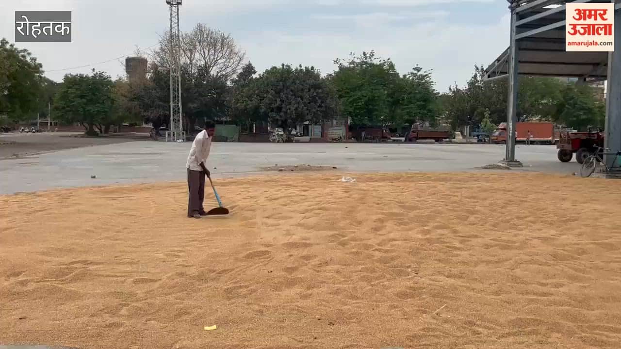 Farmers in the Rohtak grain market are distressed by both the sluggish arrival of wheat and excessive moisture levels.