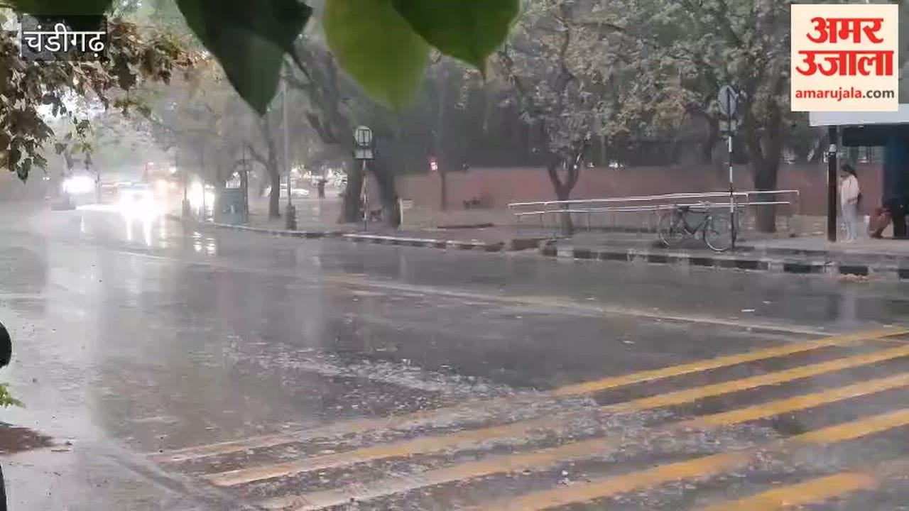 Rain in Chandigarh