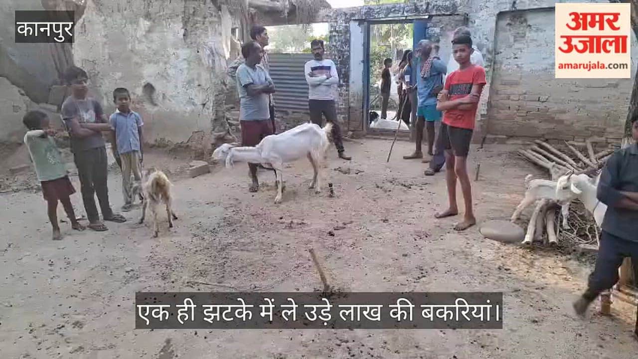 In Kanpurs Sadh brazen thieves stole five goats from a farmers house