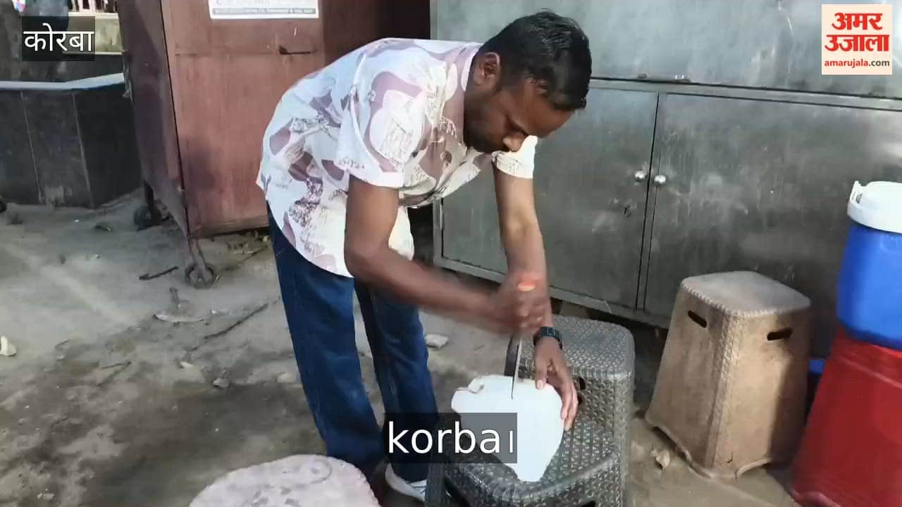 Uproar After Dead Frog Found in Ice at Juice Shop Questions Raised Over Food Safety in Korba