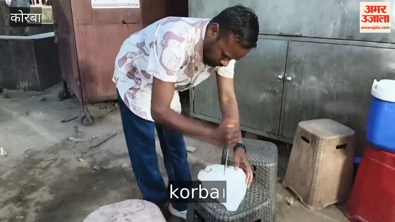 Uproar After Dead Frog Found in Ice at Juice Shop Questions Raised Over Food Safety in Korba