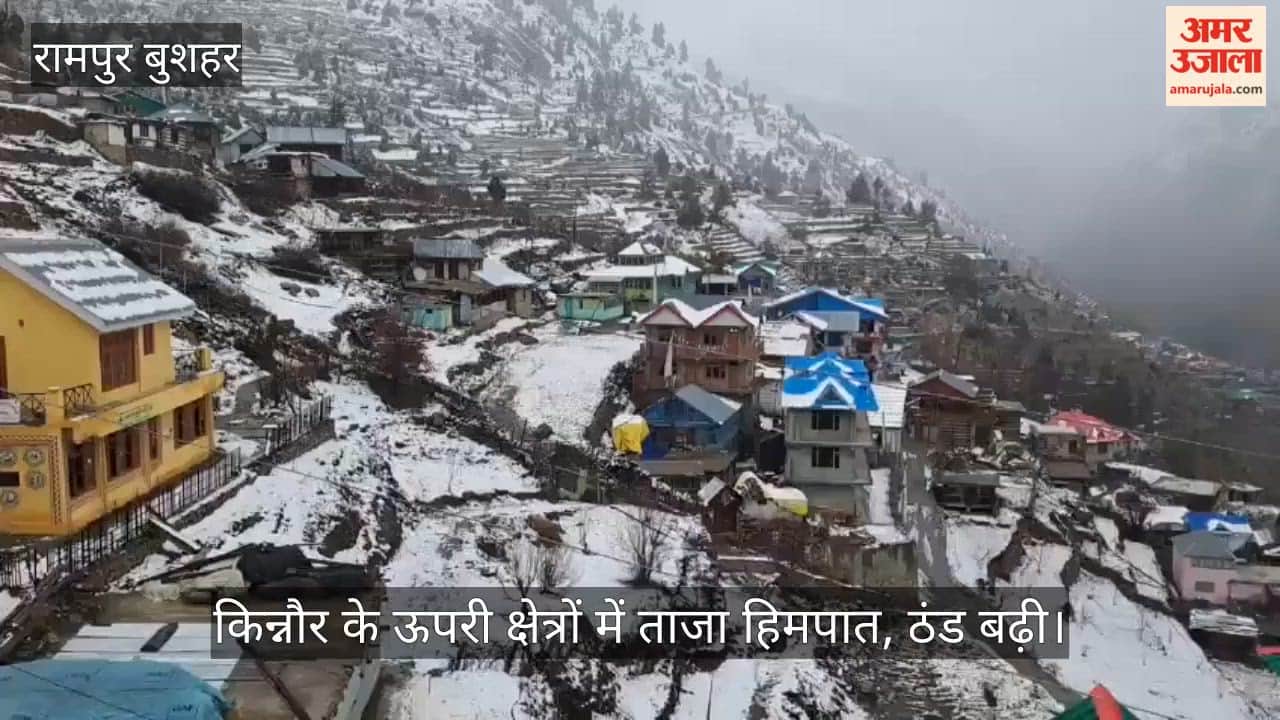 Fresh snowfall in the upper regions of Kinnaur; cold intensifies.