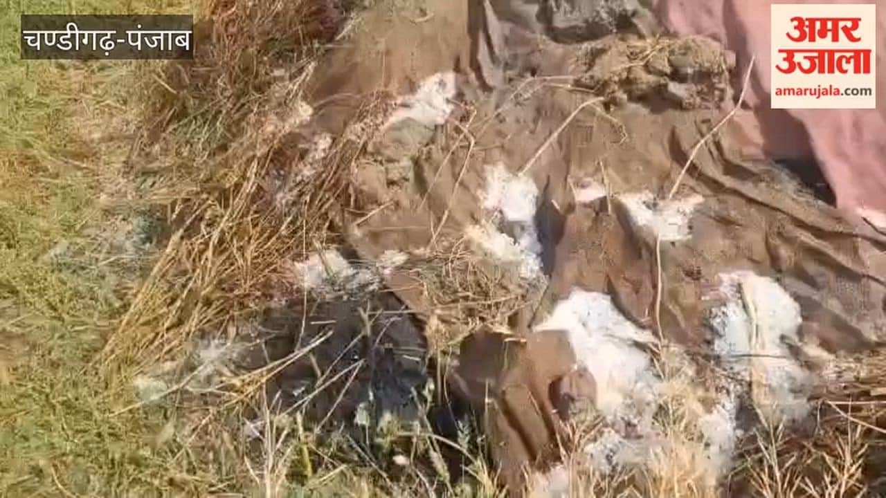 Hailstorm and rain occurred in Mamdot in the afternoon.