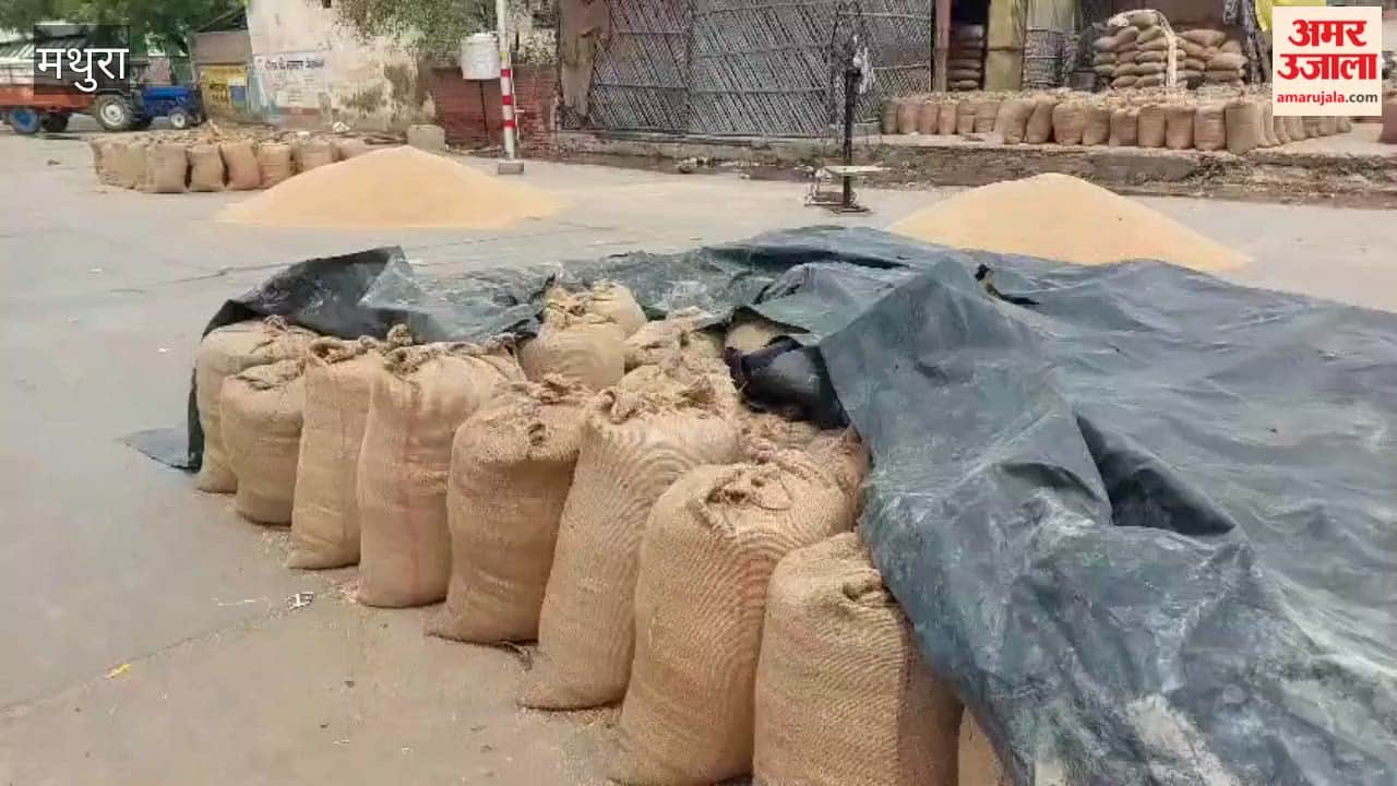 Farmers distressed due to rain not even recovering their crop production costs