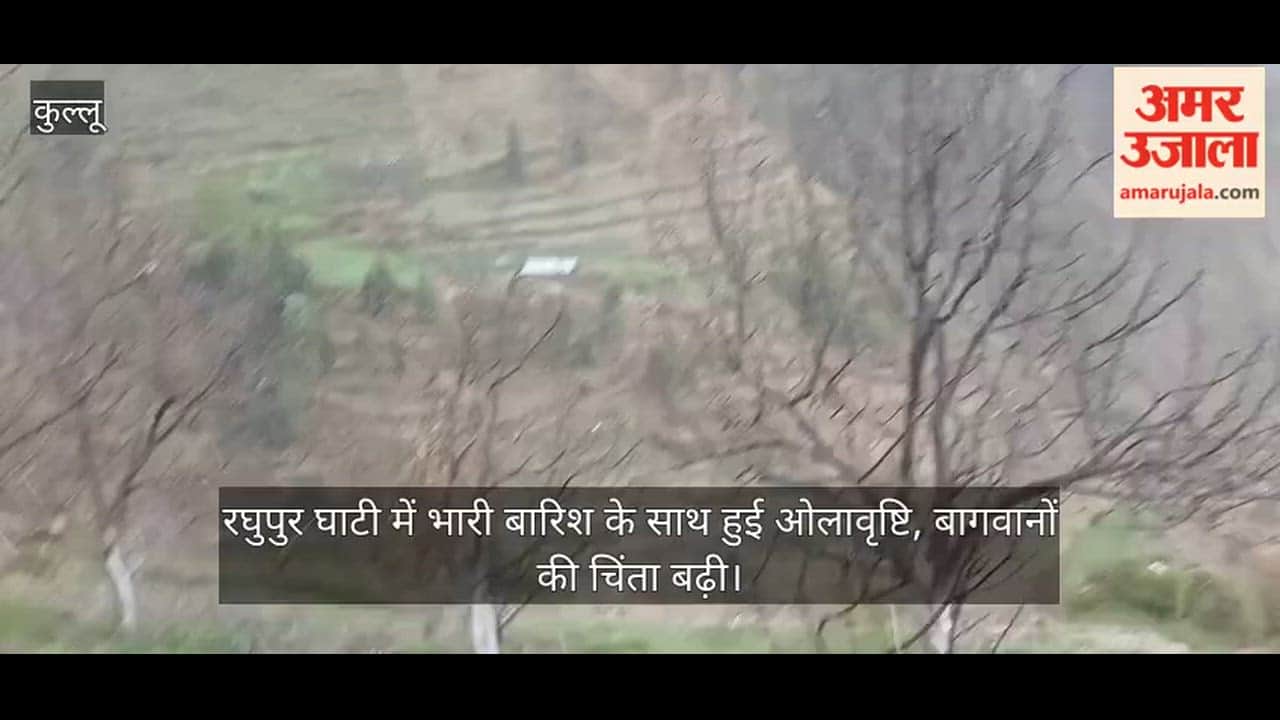 Heavy rains accompanied by hailstorms hit the Raghupur Valley, heightening concerns among orchardists.