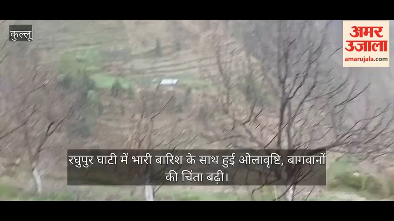 Heavy rains accompanied by hailstorms hit the Raghupur Valley, heightening concerns among orchardists.