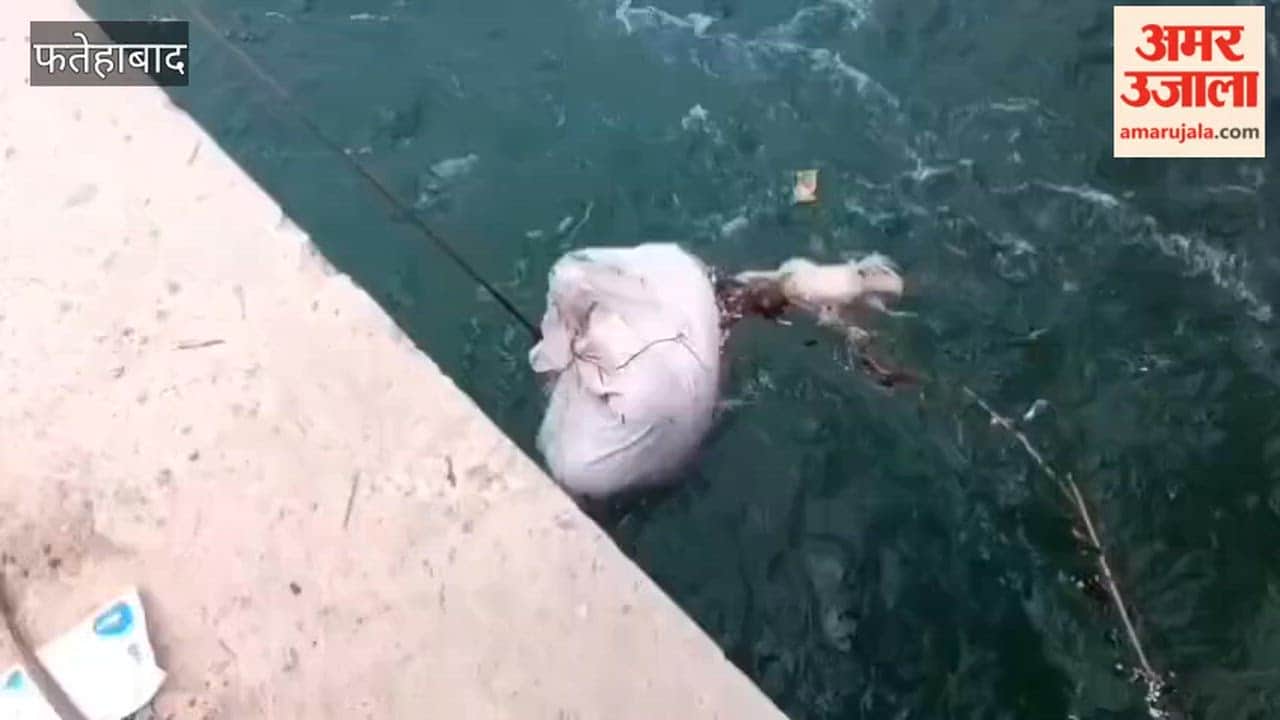 The body of an unidentified man was found in a sack at Fatehabad branch