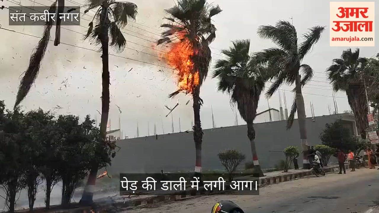 Sparking caused a tree to catch fire, and the branch was cut off.