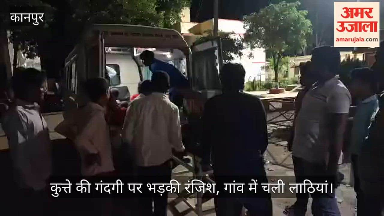 Dog dispute turns violent in Kanpur, 10 injured in clash