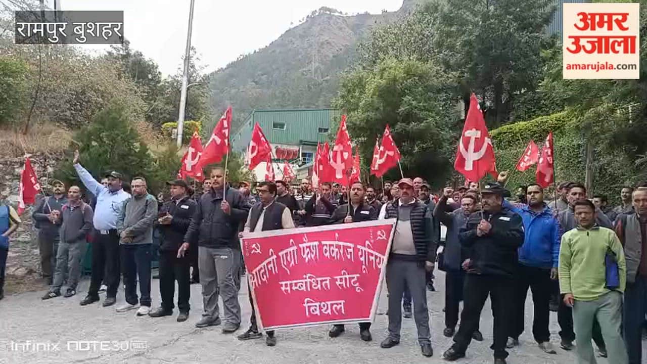 Rampur Bushahr Workers Launch Protest Against Management Over Non-Implementation of Labor Laws