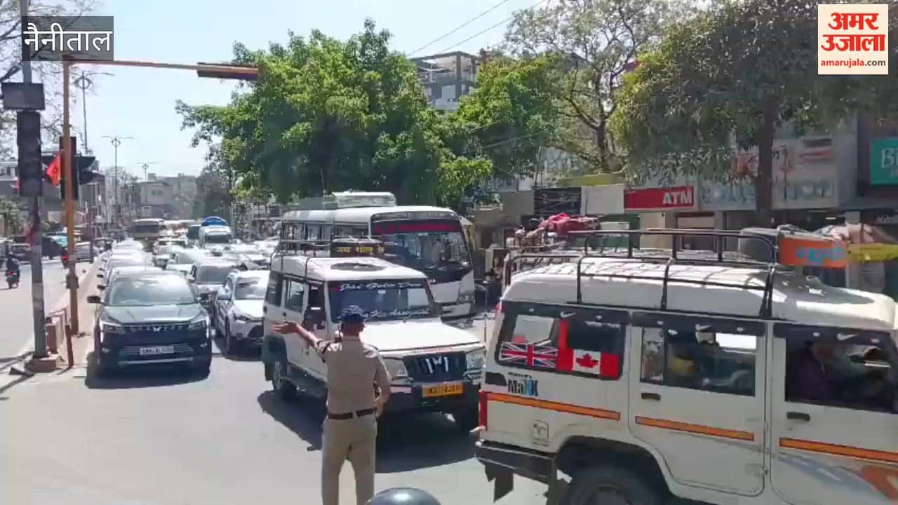 Trees were felled for canal widening on Nainital Road, causing traffic jam