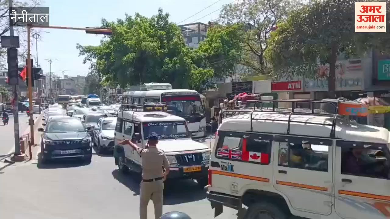 Trees were felled for canal widening on Nainital Road, causing traffic jam