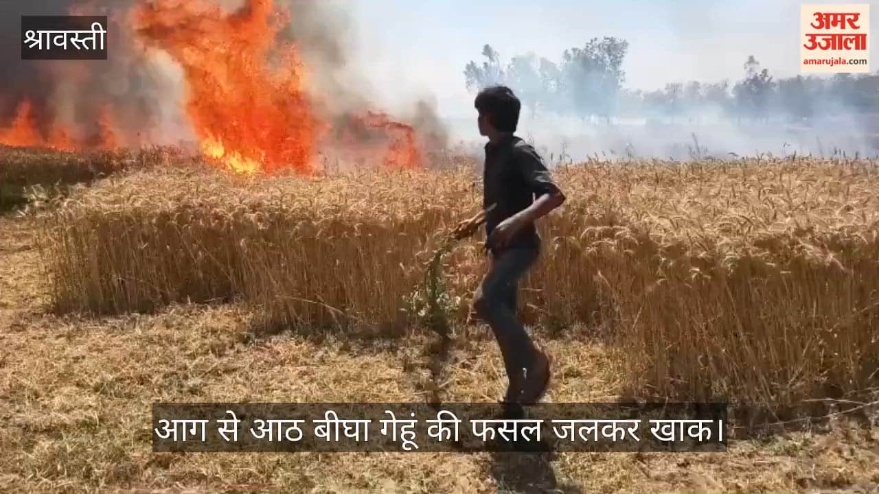श्रावस्ती में अज्ञात कारणों से गेहूं के खेतों में लगी आग, आठ बीघा फसल जलकर खाक