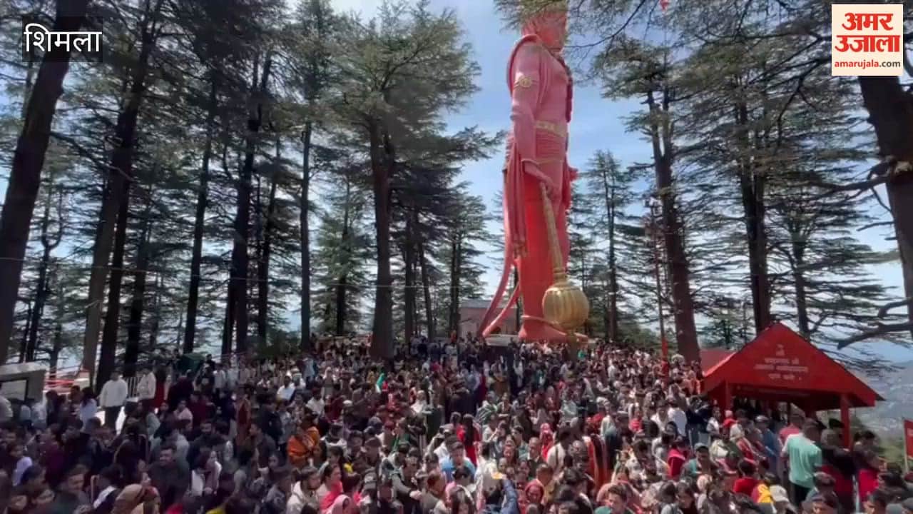 Shimla A flood of devotees surges to the Jakhu Hanuman Temple for darshan