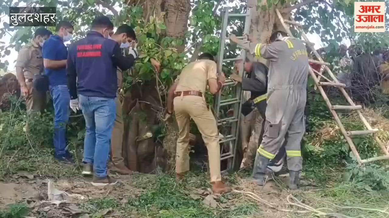 Brutal Murder of 17-Year-Old Youth in Bulandshahr; Body Recovered After Five Days