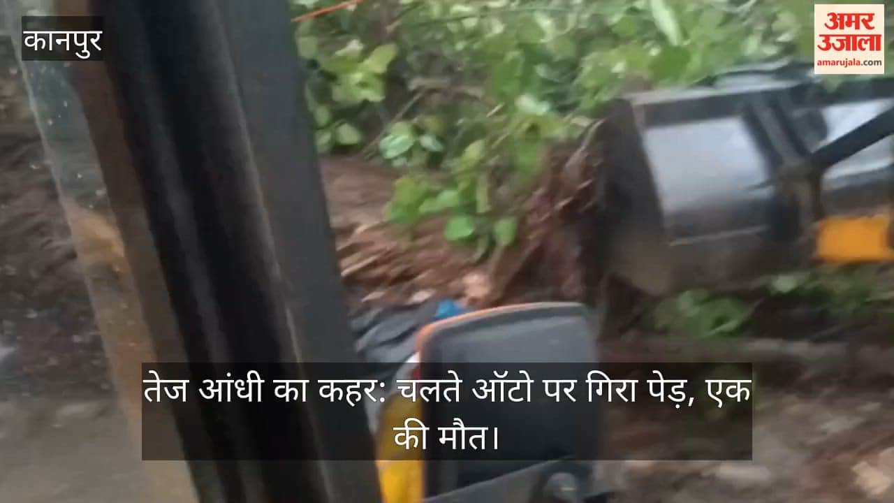 Woman killed, daughter injured after tree falls on auto in Kanpur storm