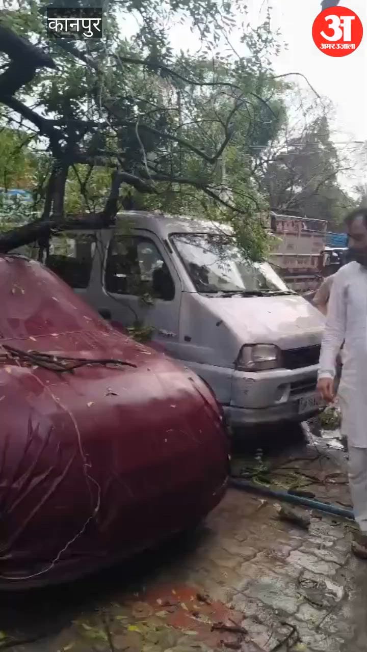 कानपुर: तेज आंधी में गिरा नीम का पेड़, 3 गाड़ियां क्षतिग्रस्त, हाईटेंशन लाइन टूटी